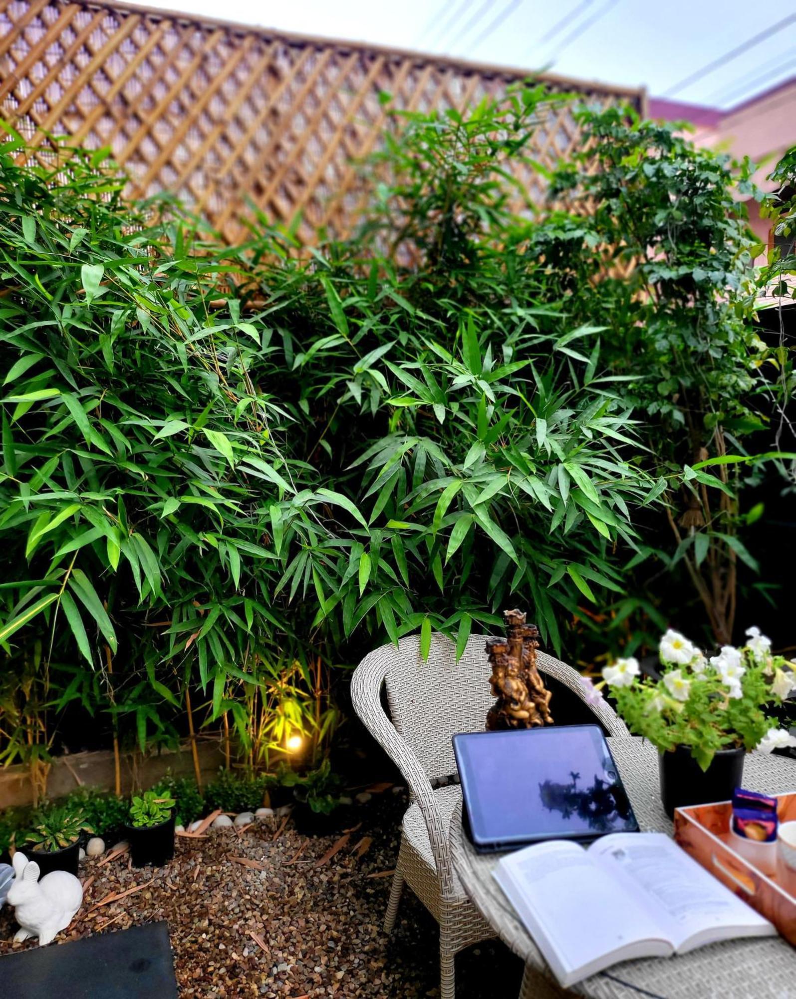 Victorian Elegance Luxury Stays Amritsar Bagian luar foto